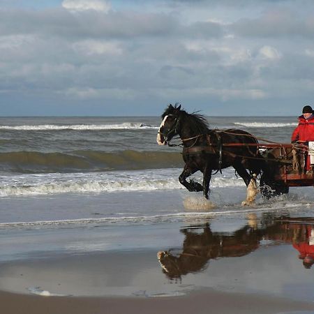 Centraal Aan Zee Lejlighed Egmond aan Zee Eksteriør billede