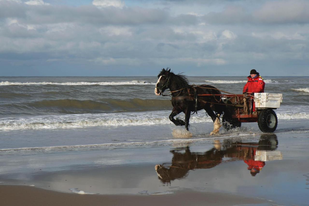 Centraal Aan Zee Lejlighed Egmond aan Zee Eksteriør billede
