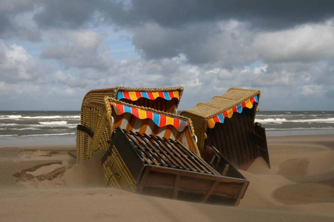 Centraal Aan Zee Lejlighed Egmond aan Zee Eksteriør billede